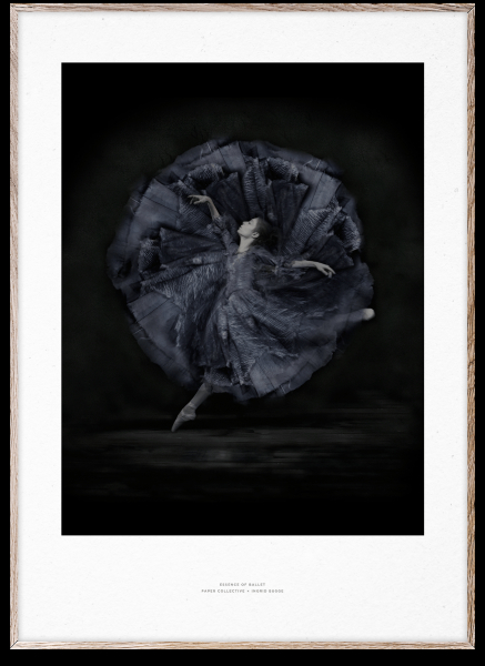 Plakat 'Essence of Ballet 06' 50x70 - Czarny/Biały