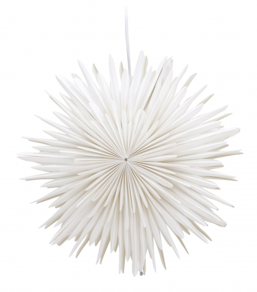 Gwiazda świąteczna 'Grent' - Biała