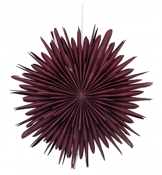 Gwiazda świąteczna 'Ture' - Ciemnoczerwona