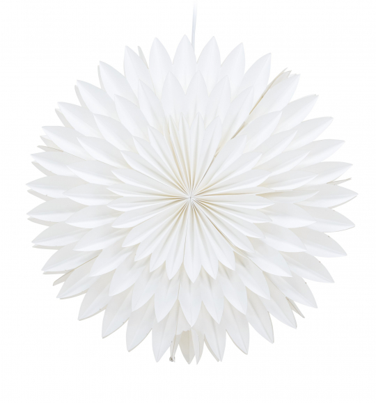 Świąteczna gwiazda 'Örnsköldsvik' - Biała