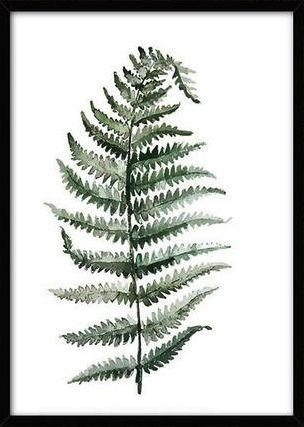 Plakat Canvas L - Roślina tropikalna 10