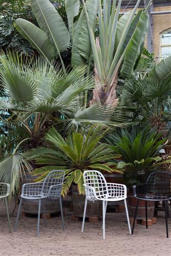 Krzesło 'Albert' - Białe