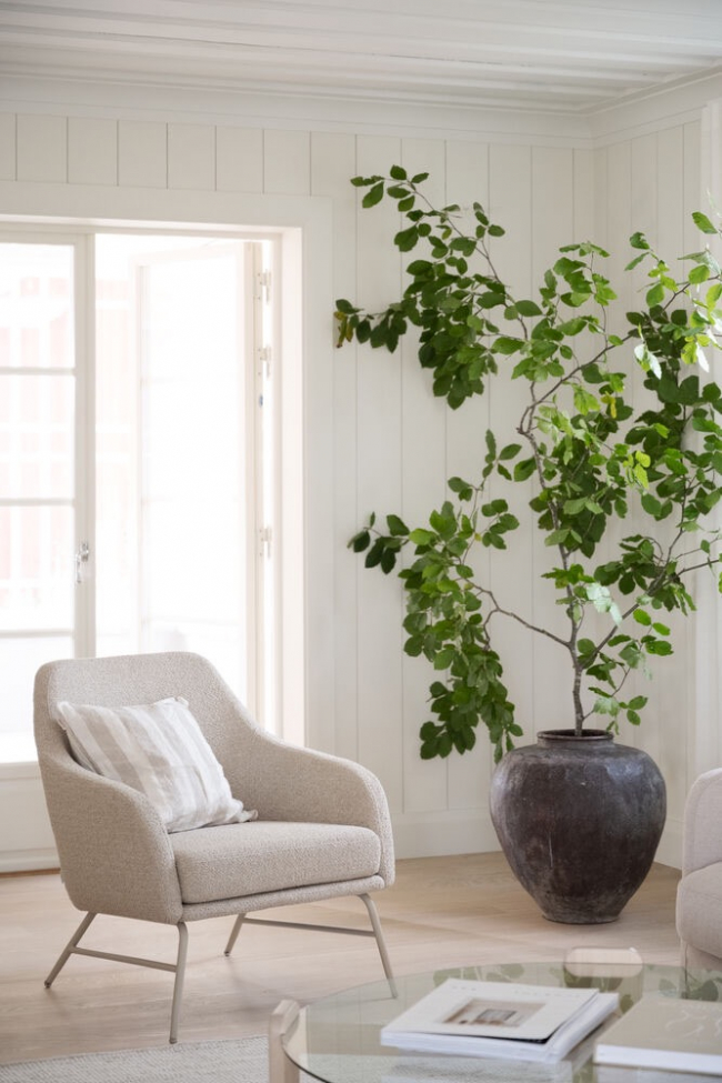 Fotel 'Eldwin' - Beżowy