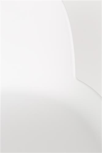 Hoker 'Albert' Kuip - Biały