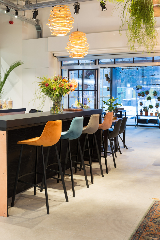 Hoker 'Franky' L - Szary/Samet