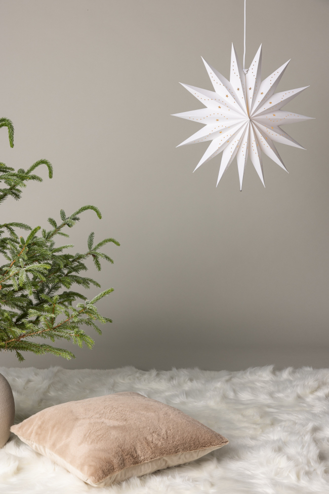 Świąteczna gwiazda 'Sala' - Biała