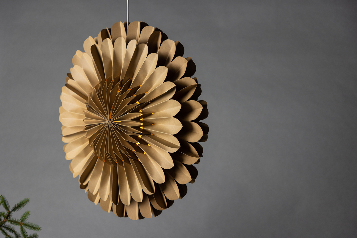 Gwiazdka adwentowa 'Mora' - Brązowa