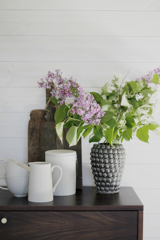 Szafka RTV/Szafa 'Prime' - Orzech/Mosiądz