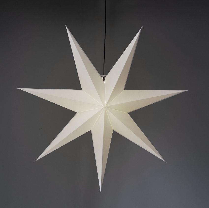 Gwiazda świąteczna 'Frozen' - Biały