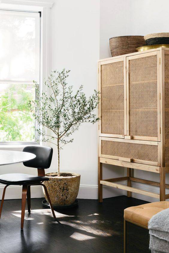 Szafa 'Teak' - Natur