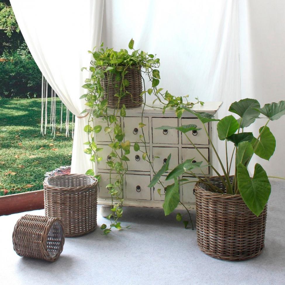 Kosze 'Bogor' 4-pak - Naturalny