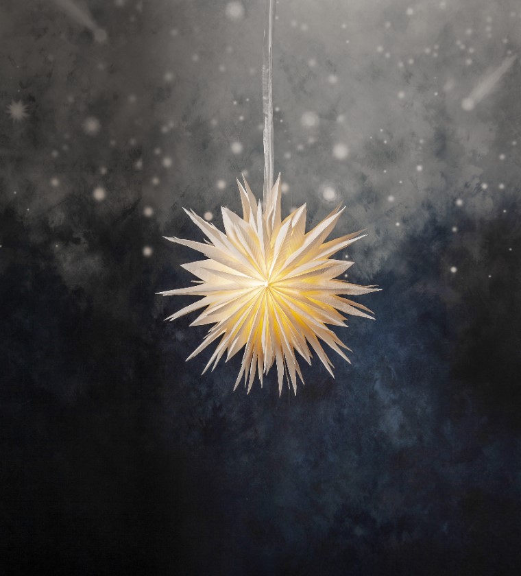 Gwiazda świąteczna 'Cloud' - Biała