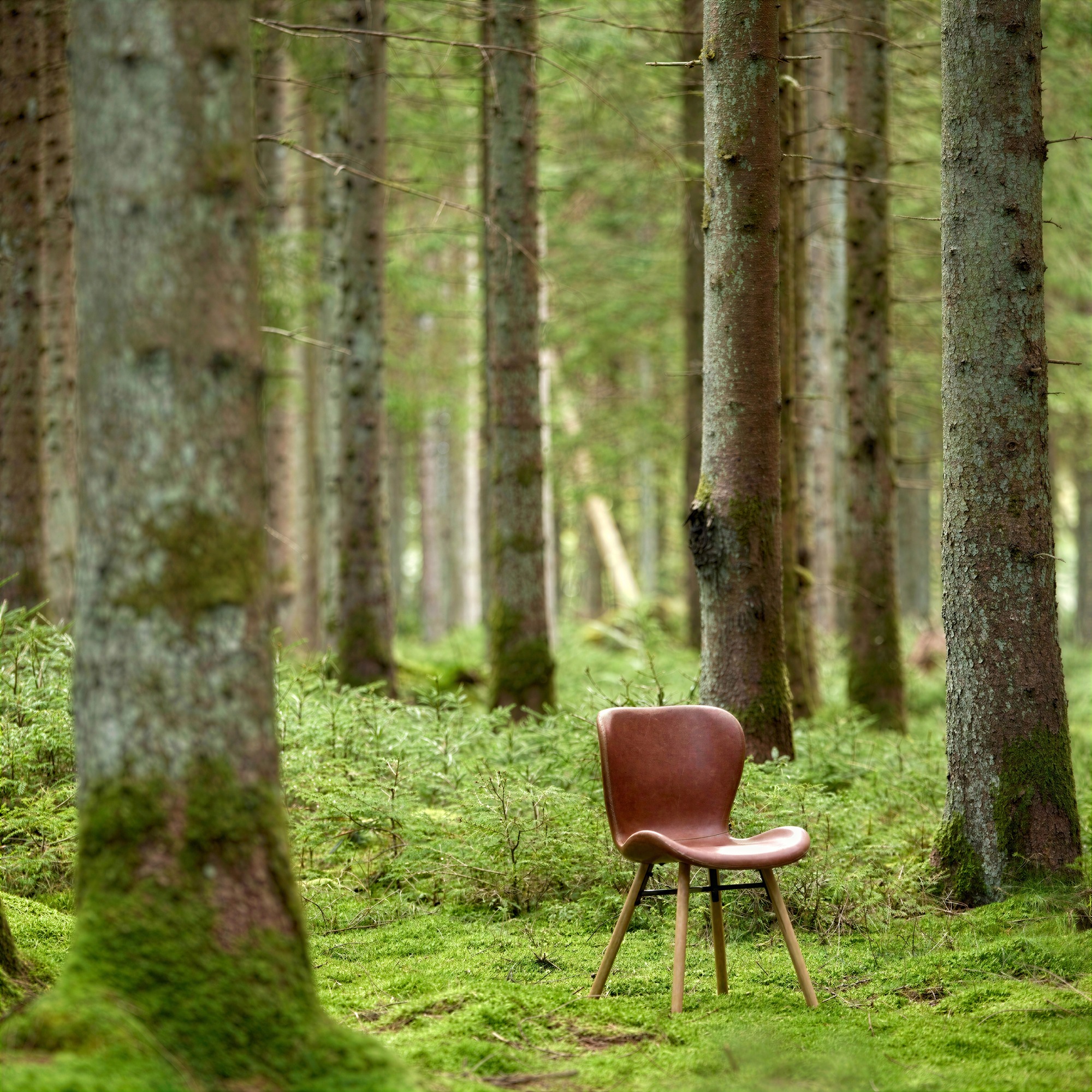 Krzesło 'B&ouml;da' - Naturalny/Brazowy