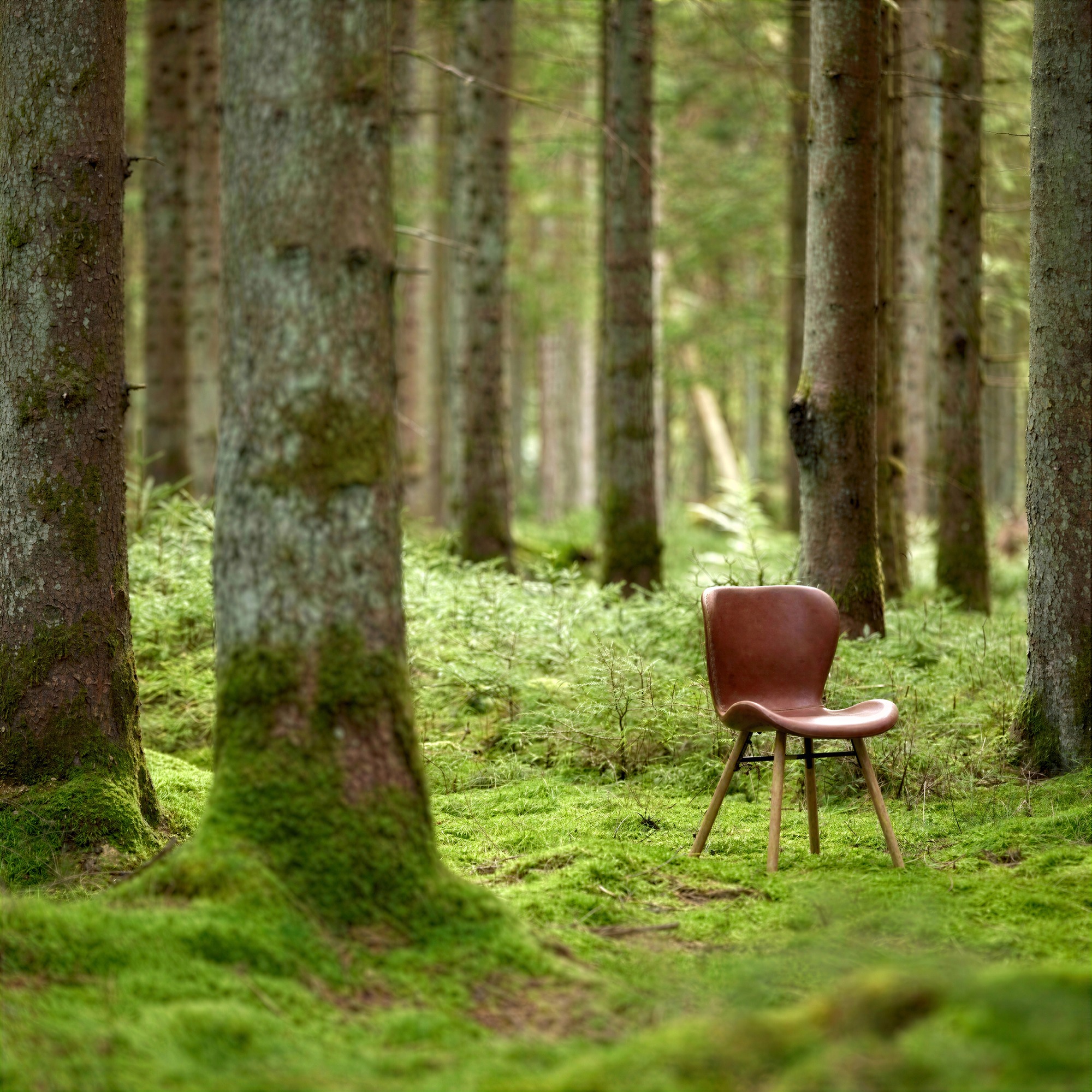 Krzesło 'Böda' - Naturalny/Brazowy