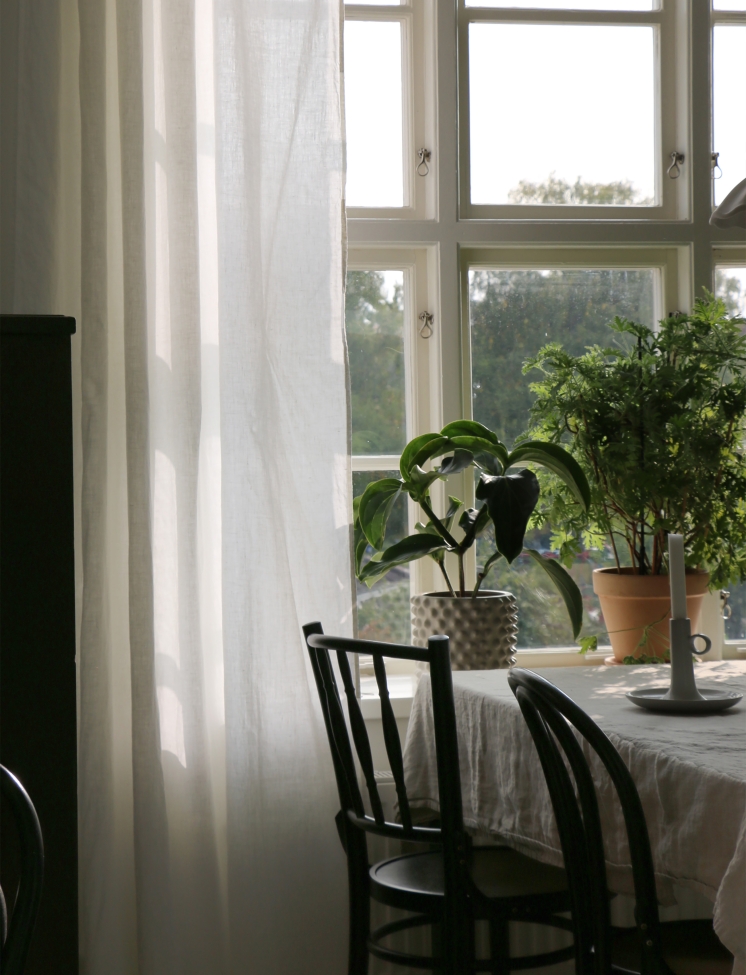 Firanka 'Sunshine' 140x250 - Biała