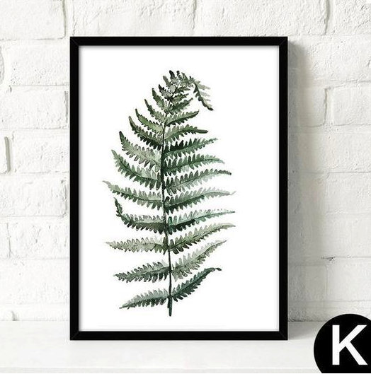 Plakat Canvas L - Roślina tropikalna 10