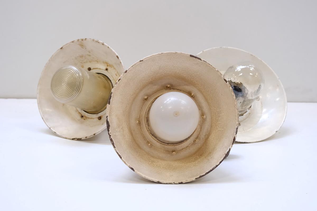 Lampa morska 'Raw and Unique'