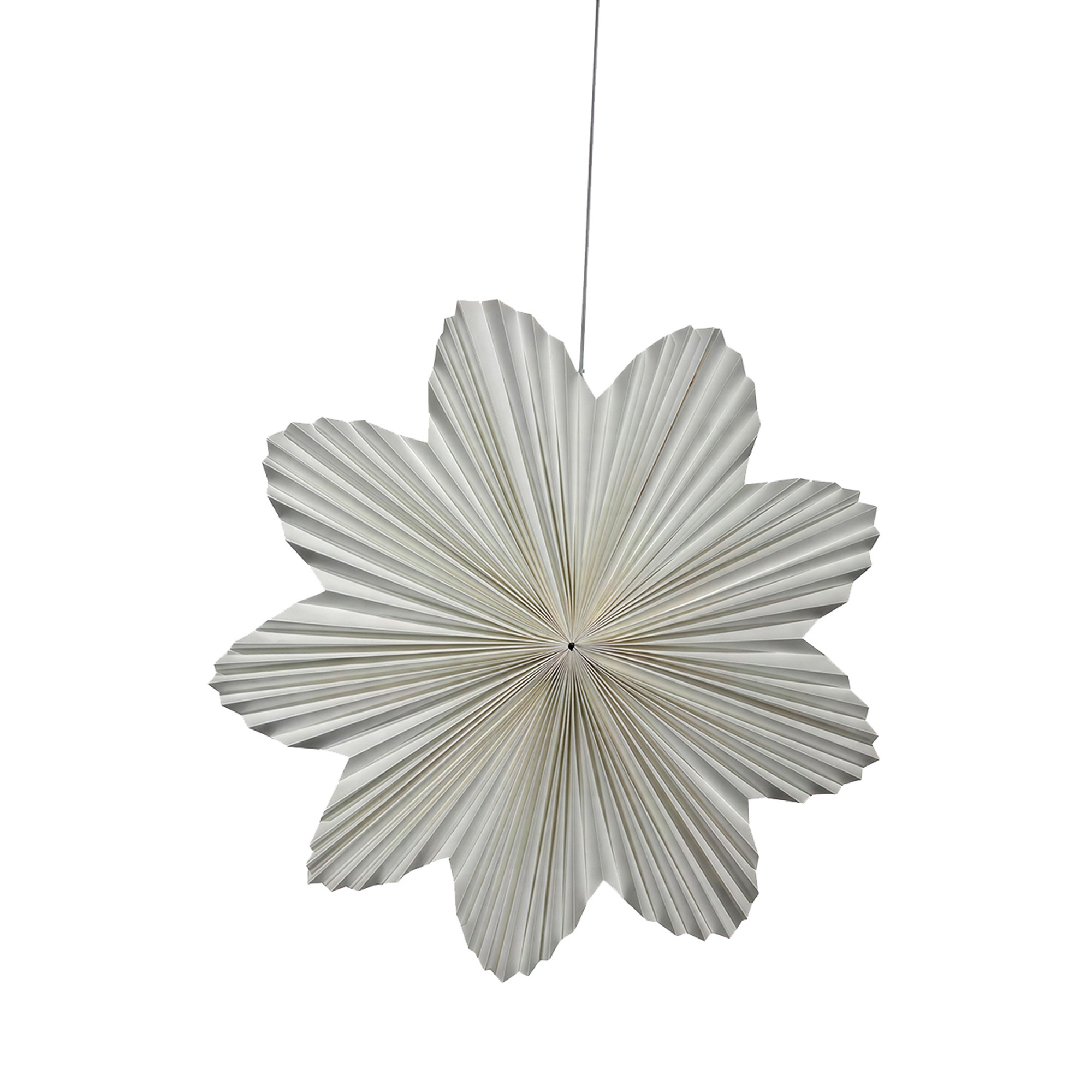 Gwiazda adwentowa 'Daisy' 60cm - Biały