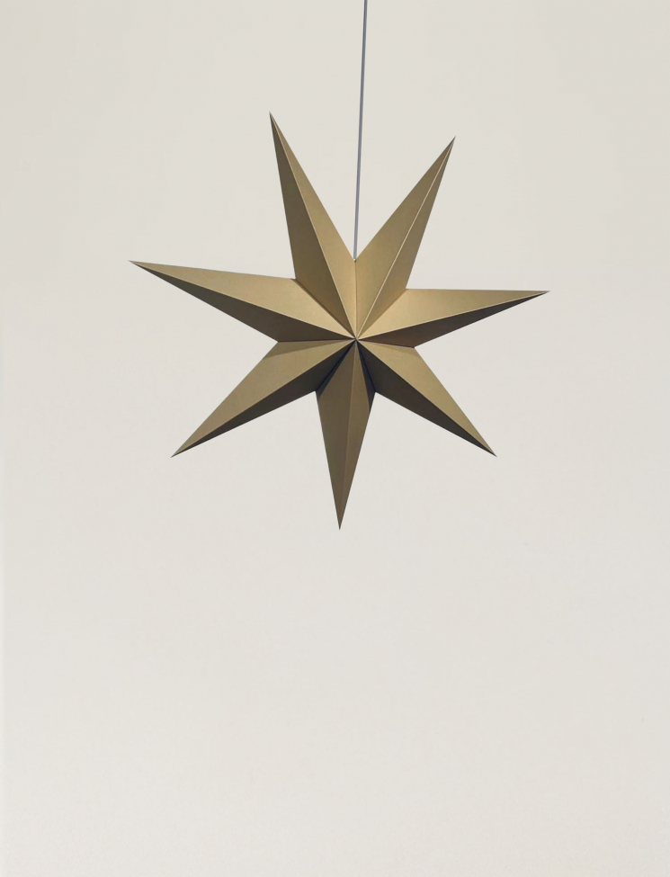 Gwiazda adwentowa 'Sally' 60cm - Brązowa