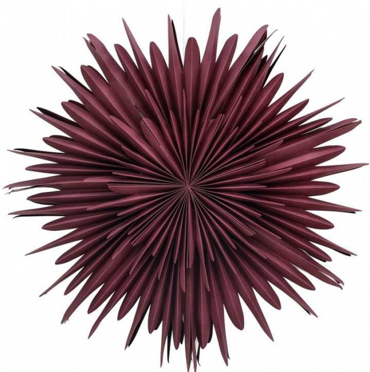 Gwiazda adwentowa \'Svedala\' 80cm - Czerwona w grupie Kampania / Oświetlenie / Lampy w Reforma (20033-112)