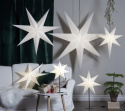 Gwiazda świąteczna \'Frozen\' - Biały