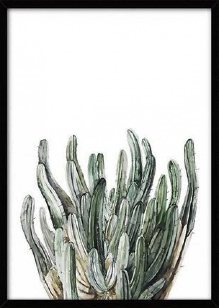 Plakat Canvas L - Roślina tropikalna 9 w grupie Wystrój / Dekoracja / Obrazy i plakaty w Reforma (LS71237-09-J-5070)