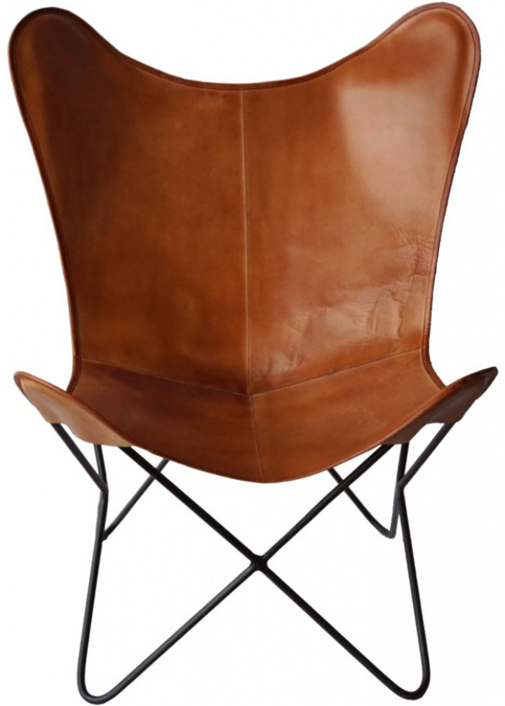 Fotel Vintage - Skóra/Żelazo w grupie Meble / Meble do siedzenia / Fotele w Reforma (MA0215)